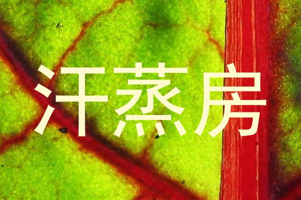 汗蒸房