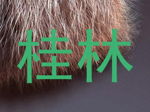 桂林