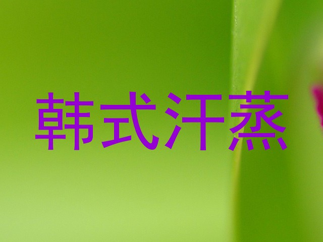 韩式汗蒸