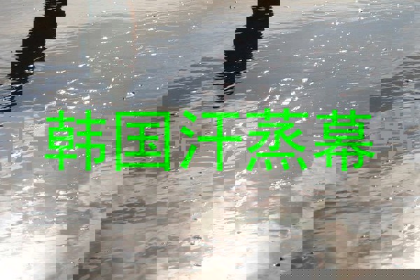 韩国汗蒸幕
