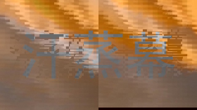 汗蒸幕