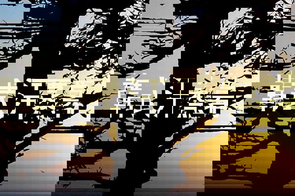 韩式汗蒸幕