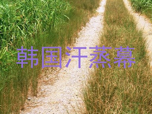 韩国汗蒸幕