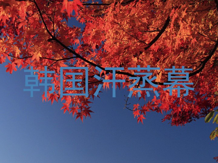 韩国汗蒸幕
