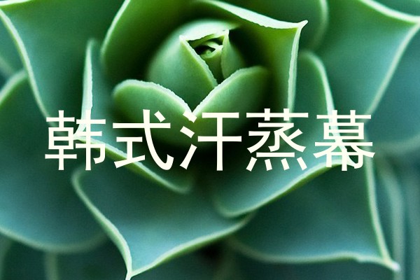 韩式汗蒸幕