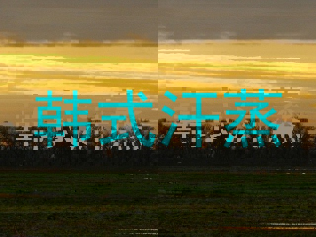 韩式汗蒸