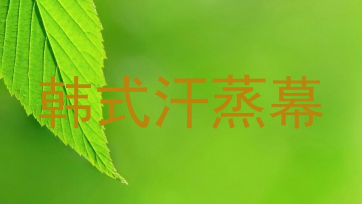 韩式汗蒸幕