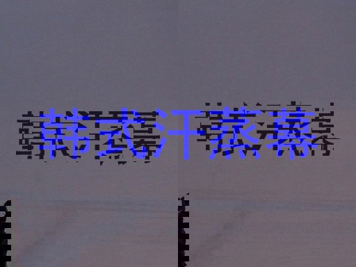 韩式汗蒸幕