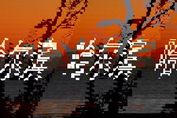 哈尔滨