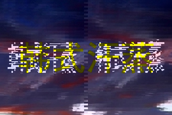 韩式汗蒸