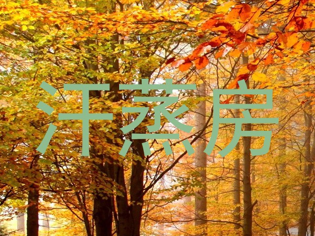 汗蒸房