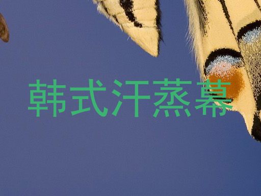 韩式汗蒸幕