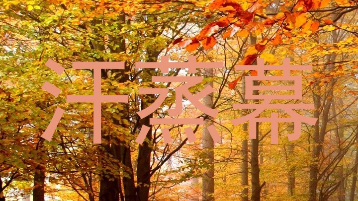 汗蒸幕