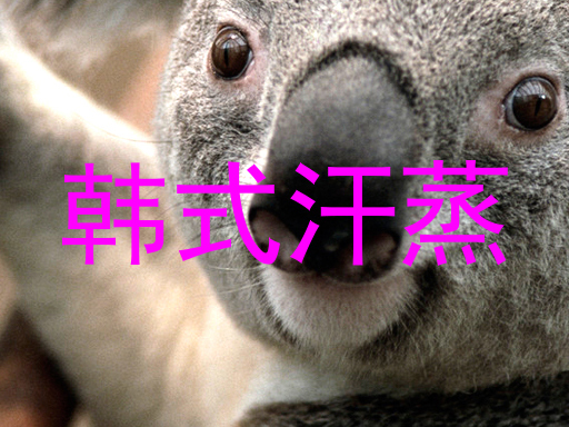 韩式汗蒸