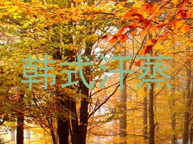 韩式汗蒸