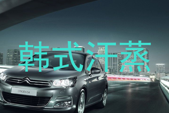 韩式汗蒸