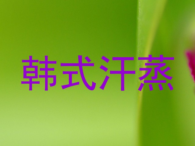 韩式汗蒸