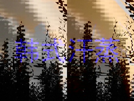 韩式汗蒸