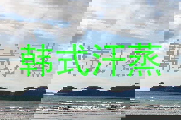 韩式汗蒸