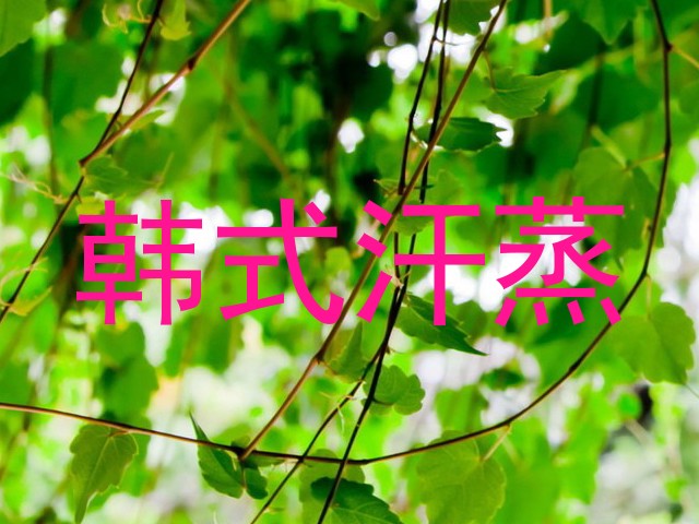 韩式汗蒸