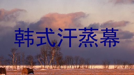 韩式汗蒸幕