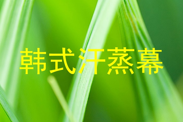 韩式汗蒸幕