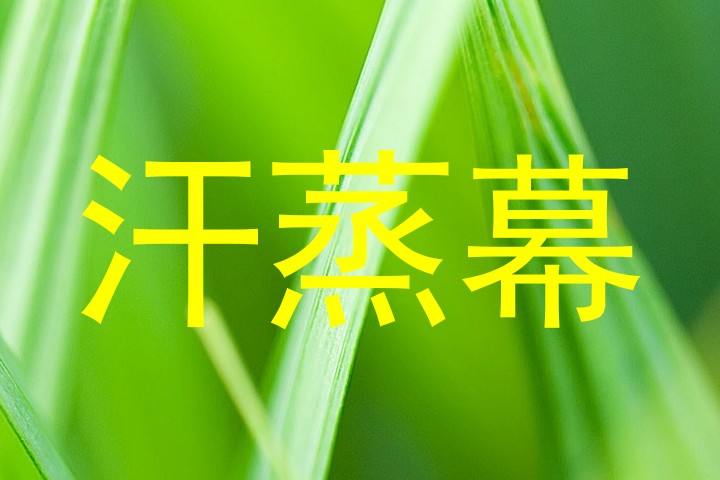汗蒸幕