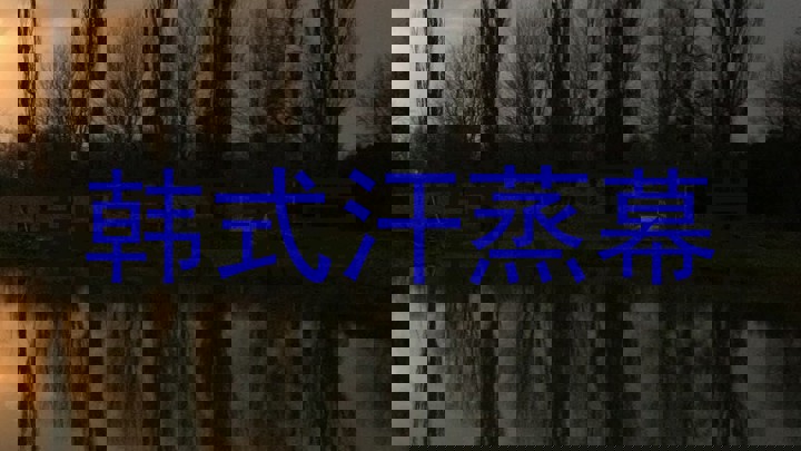 韩式汗蒸幕