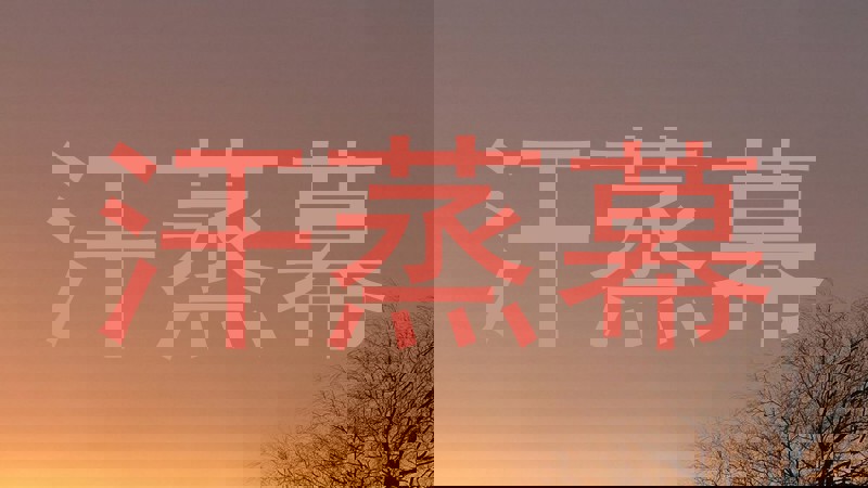 汗蒸幕