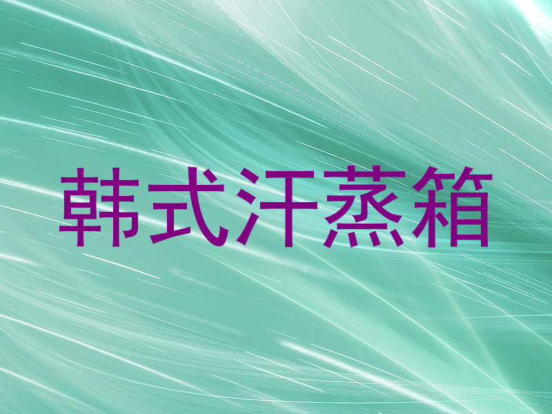 韩式汗蒸箱