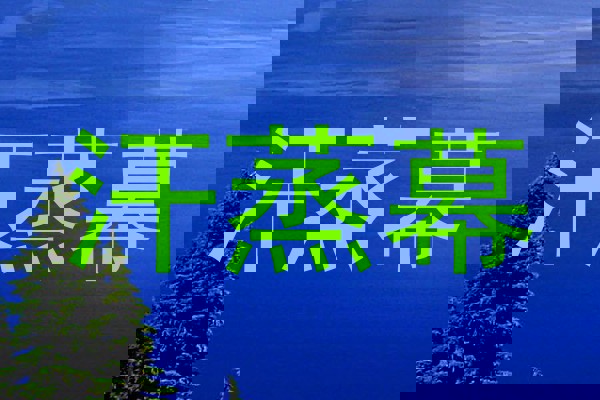 汗蒸幕