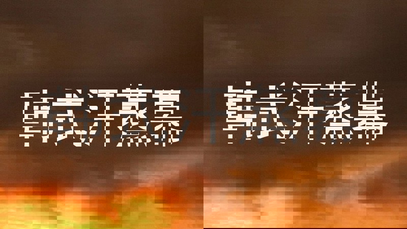 韩式汗蒸幕