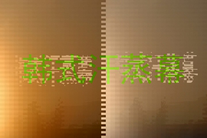 韩式汗蒸幕