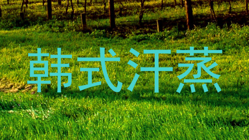 韩式汗蒸