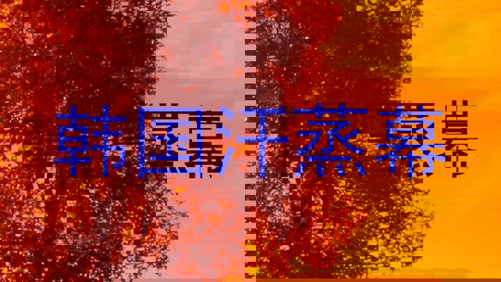韩国汗蒸幕