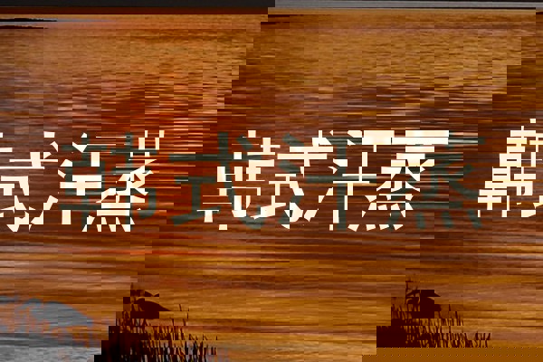 韩式汗蒸
