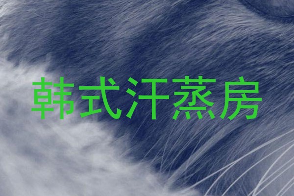 韩式汗蒸房