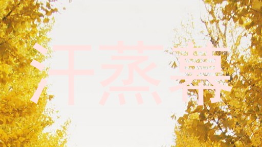汗蒸幕