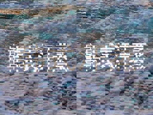 韩式汗蒸