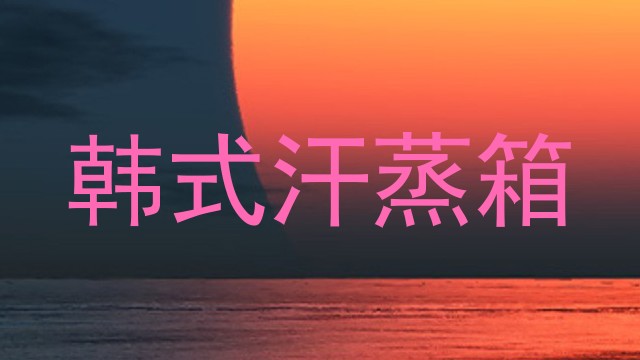 韩式汗蒸箱