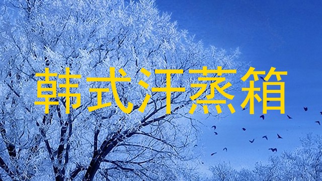 韩式汗蒸箱