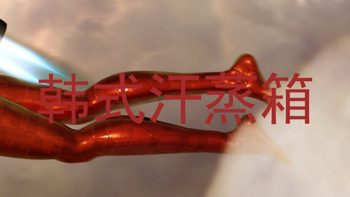 韩式汗蒸箱