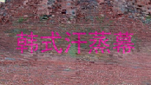 韩式汗蒸幕