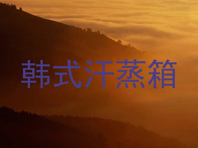 韩式汗蒸箱