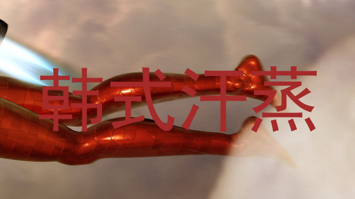 韩式汗蒸