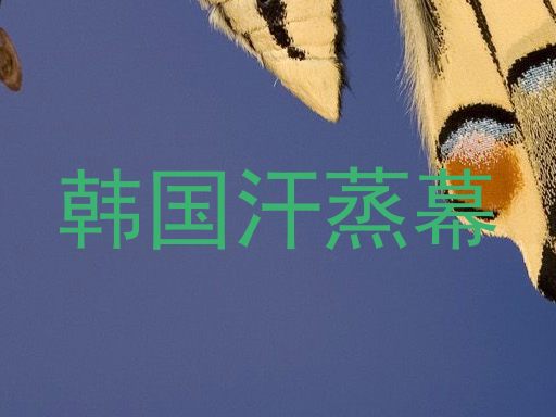 韩国汗蒸幕