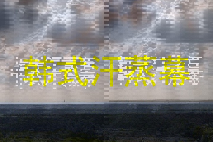 韩式汗蒸幕