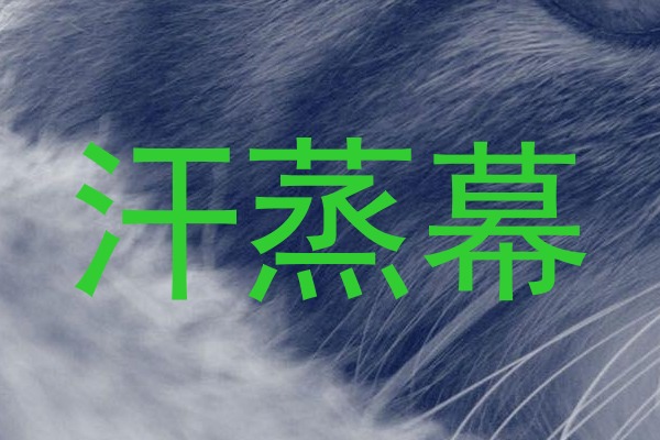 汗蒸幕