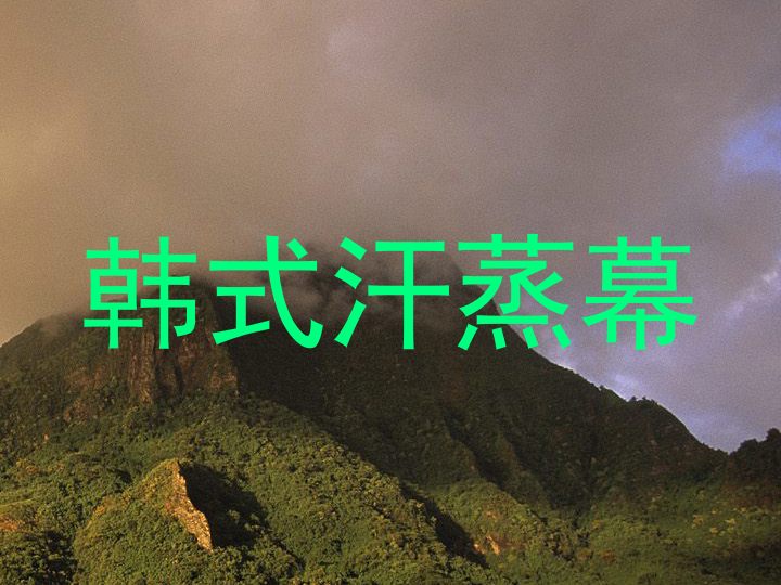韩式汗蒸幕