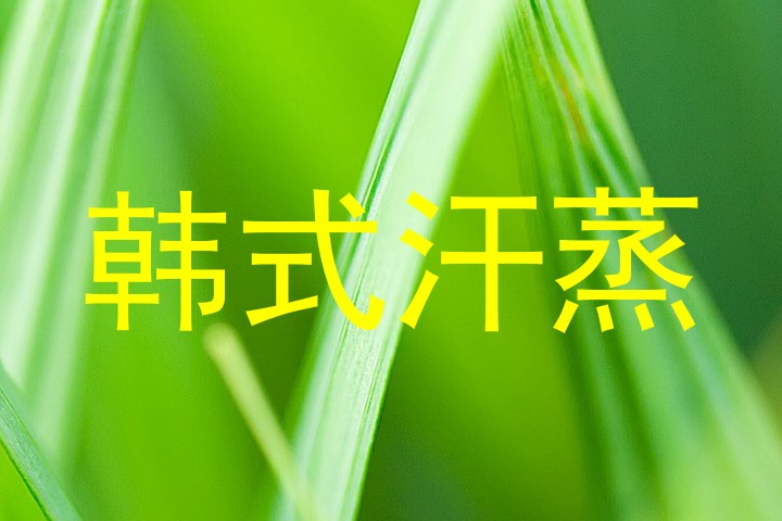 韩式汗蒸